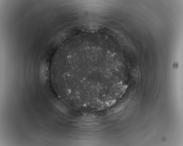 X0000102810818200809150949