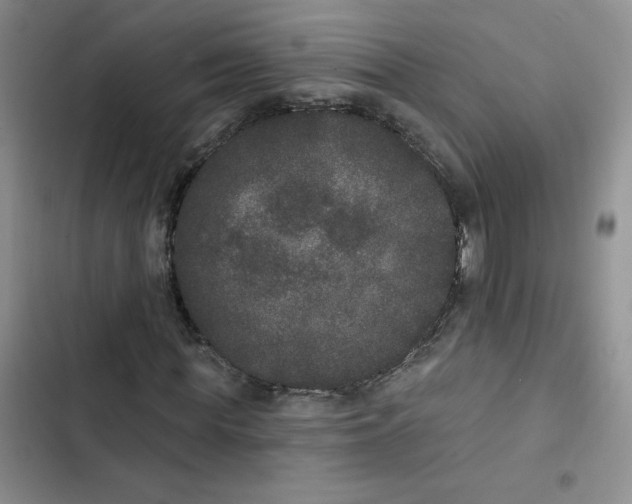 X0000102810819200809150949