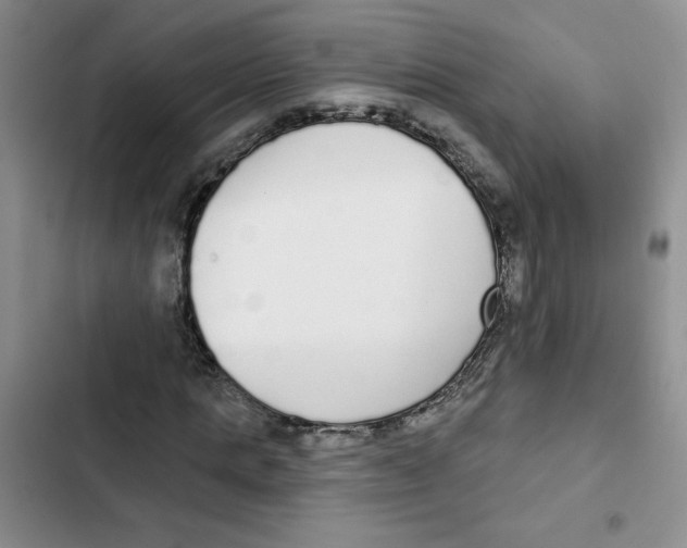 X0000102810821200809150949