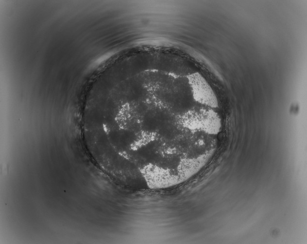 X0000102810822200809150949