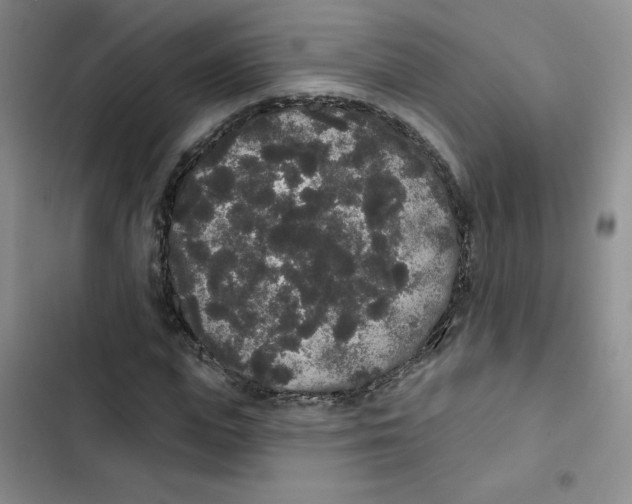 X0000102810823200809150949