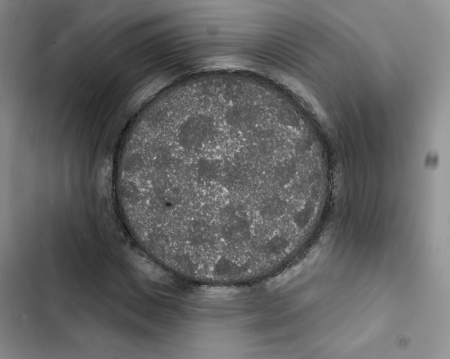 X0000102810825200809150949