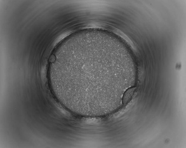 X0000102810826200809150949