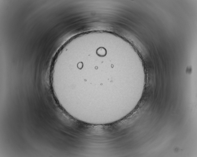 X0000102810828200809150949