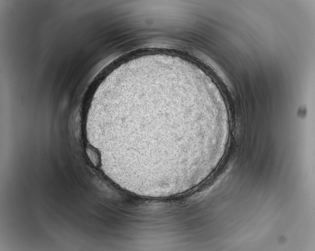 X0000102810829200809150949