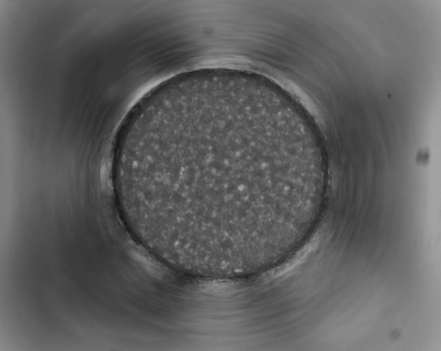 X0000102810830200809150949