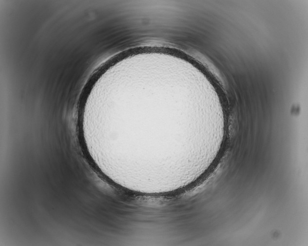 X0000102810831200809150949