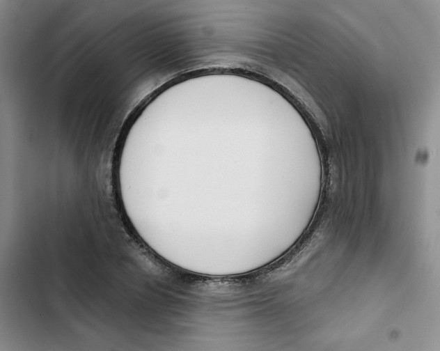 X0000102810834200809150950