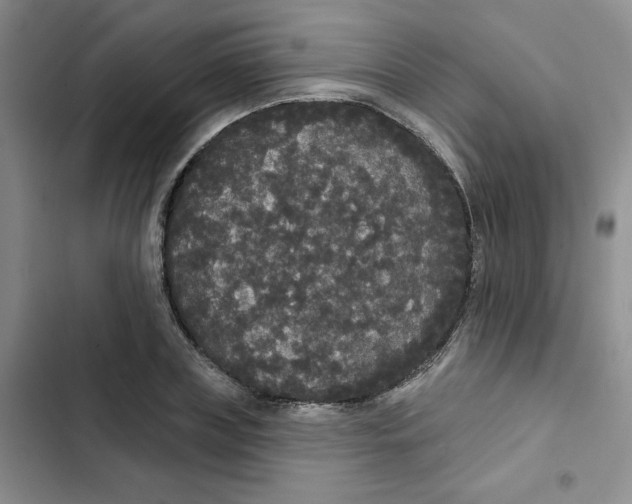 X0000102810835200809150950