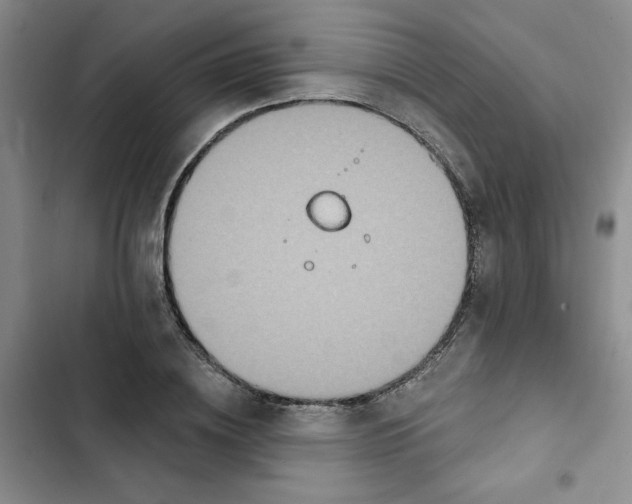 X0000102810836200809150950