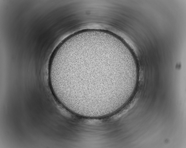 X0000102810837200809150950