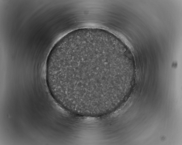 X0000102810839200809150950