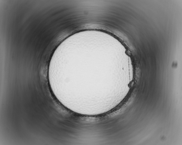 X0000102810841200809150950