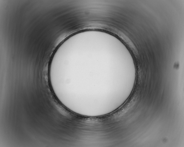 X0000102810842200809150950