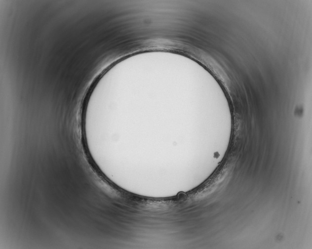 X0000102810843200809150950