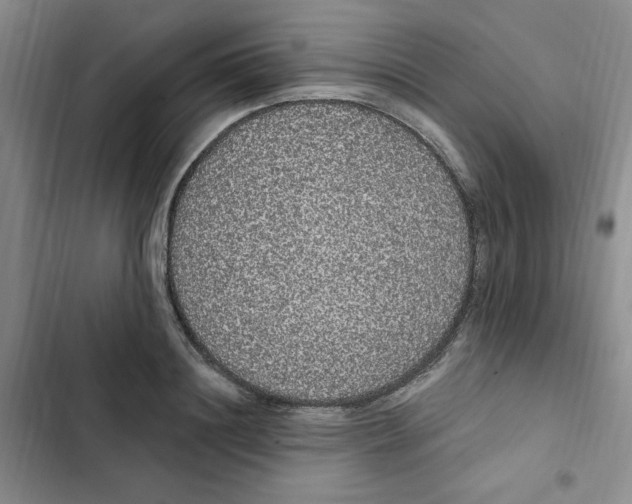 X0000102810844200809150950