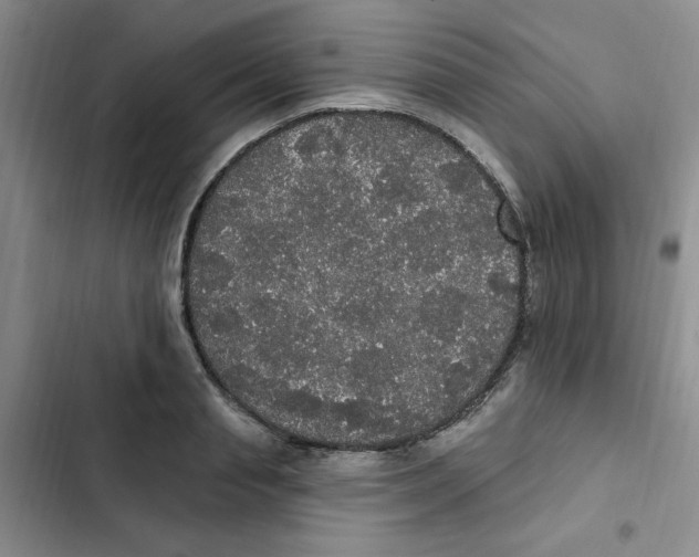 X0000102810845200809150950