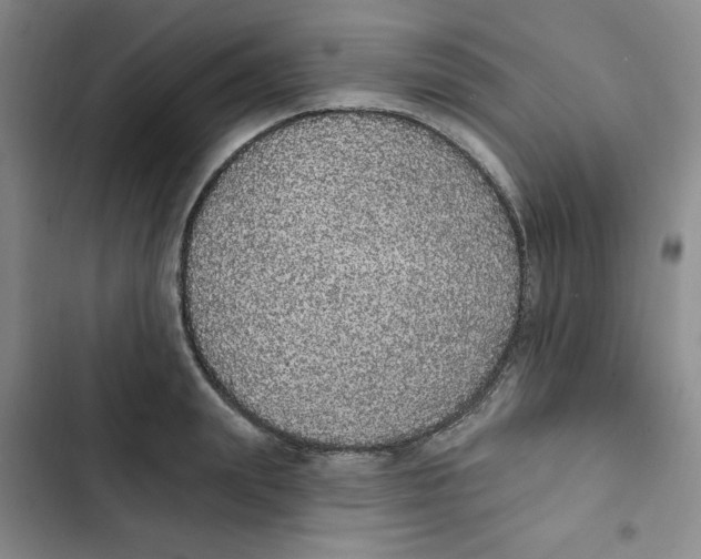 X0000102810847200809150950