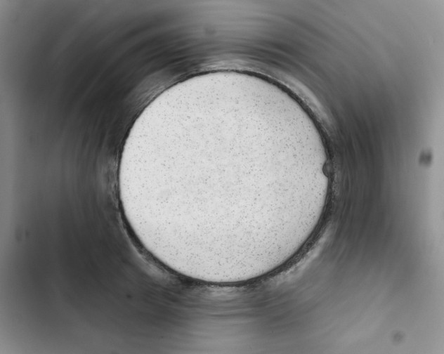 X0000102810849200809150950