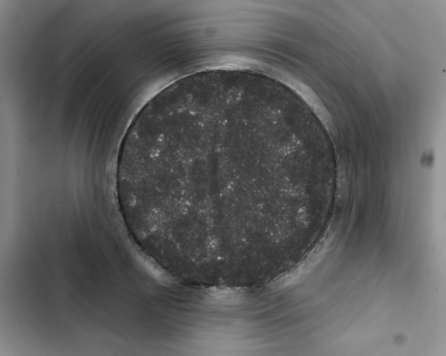 X0000102810850200809150950