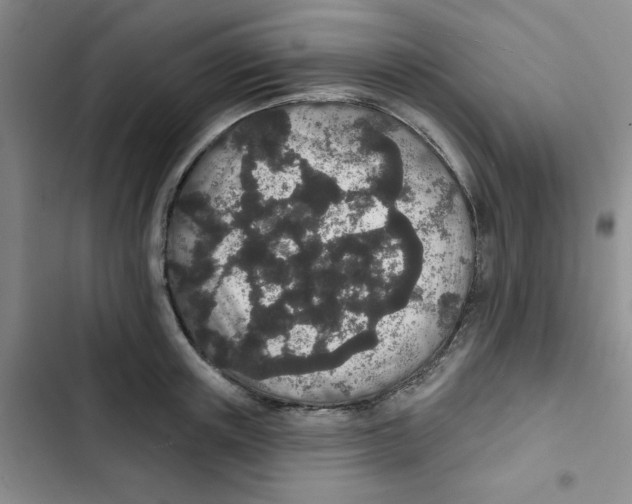 X0000102810851200809150950