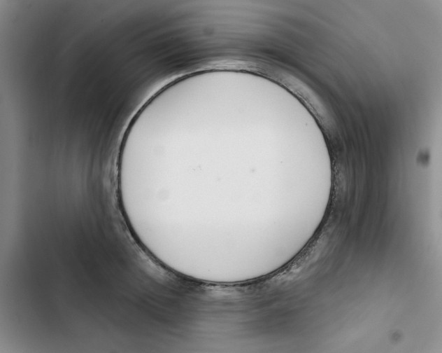 X0000102810852200809150950