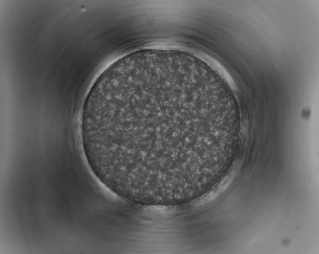 X0000102810855200809150950