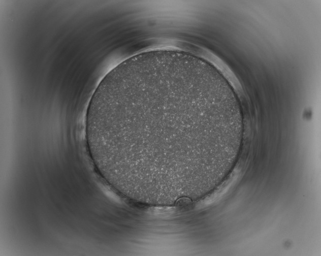 X0000102810858200809150950