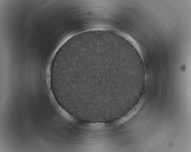 X0000102810859200809150950