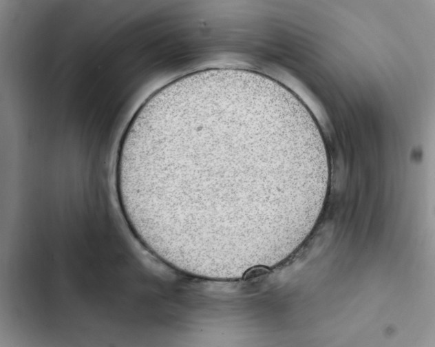 X0000102810861200809150950