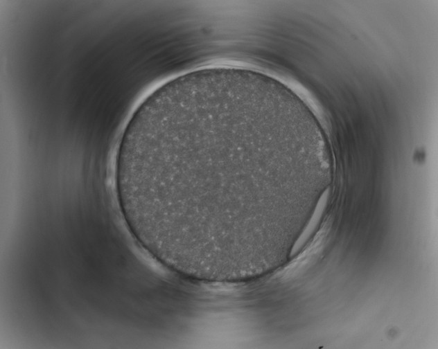 X0000102810862200809150950