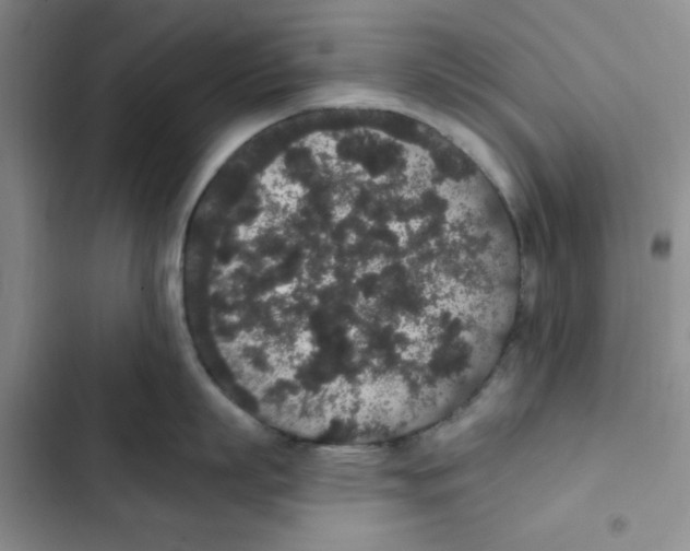 X0000102810863200809150950