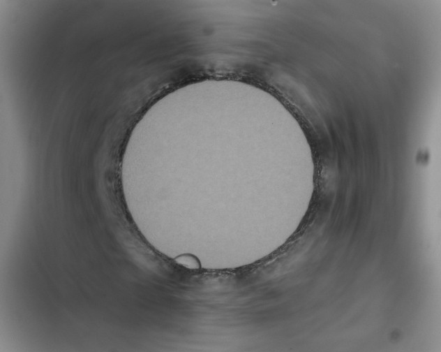 X0000102810865200809150949