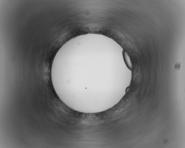 X0000102810866200809150949