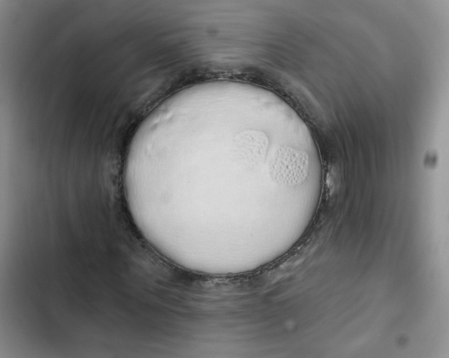 X0000102810867200809150949