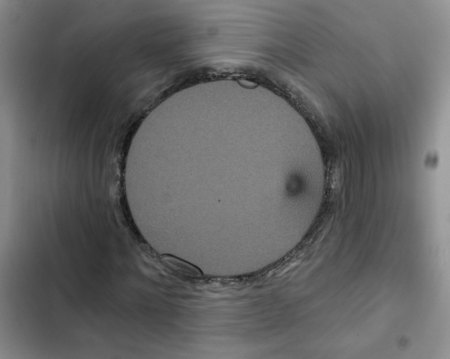 X0000102810868200809150949