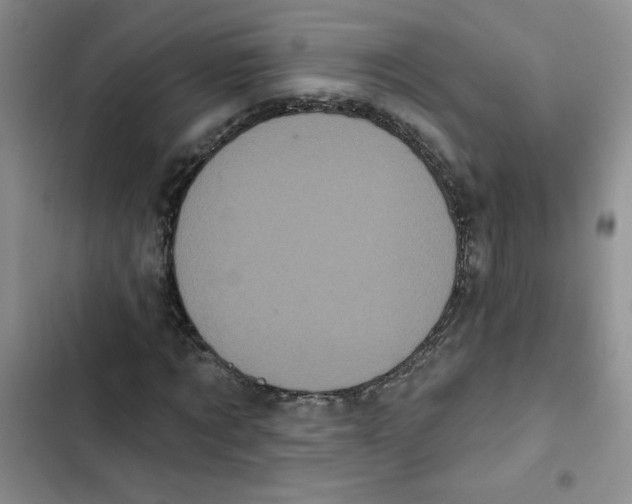 X0000102810869200809150949