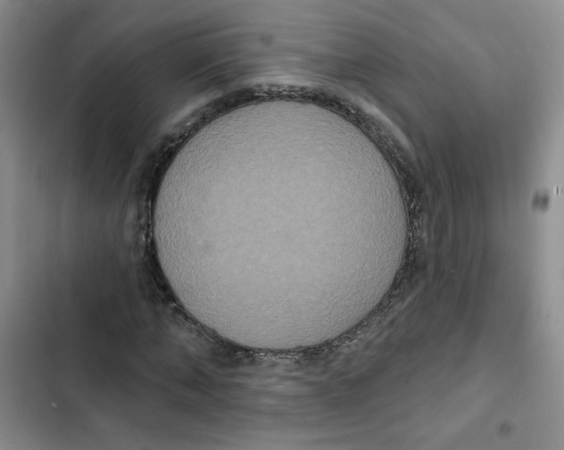 X0000102810870200809150949