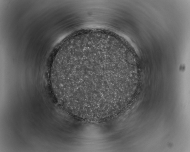 X0000102810871200809150949