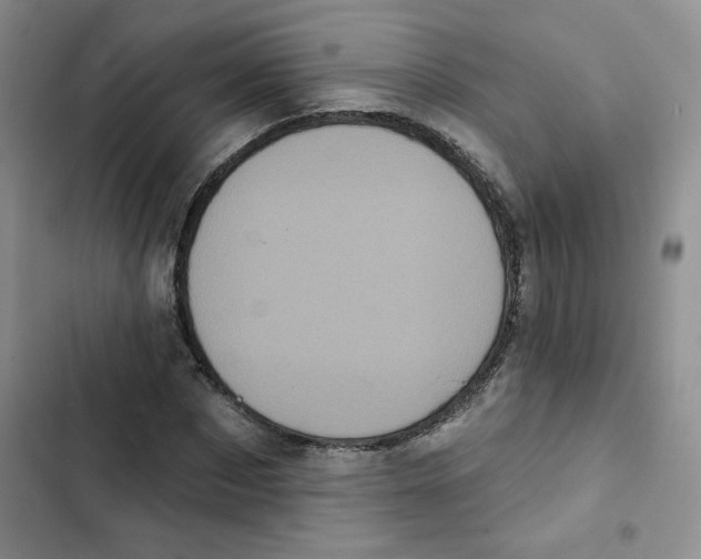 X0000102810873200809150949