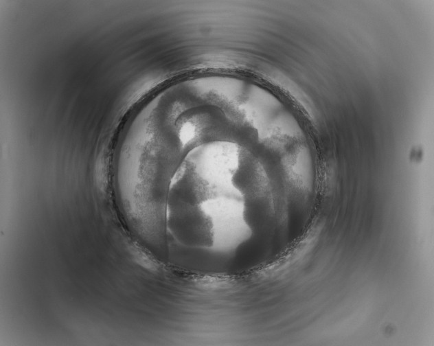 X0000102810874200809150949