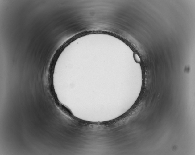 X0000102810876200809150949