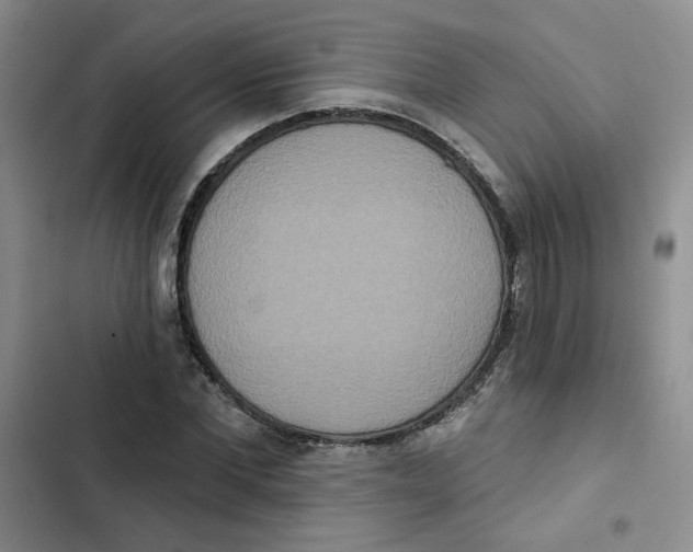 X0000102810877200809150949