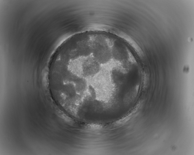 X0000102810878200809150949