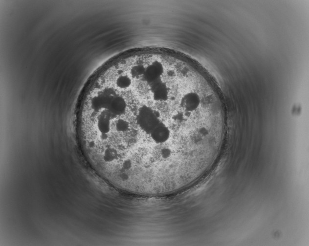 X0000102810879200809150949