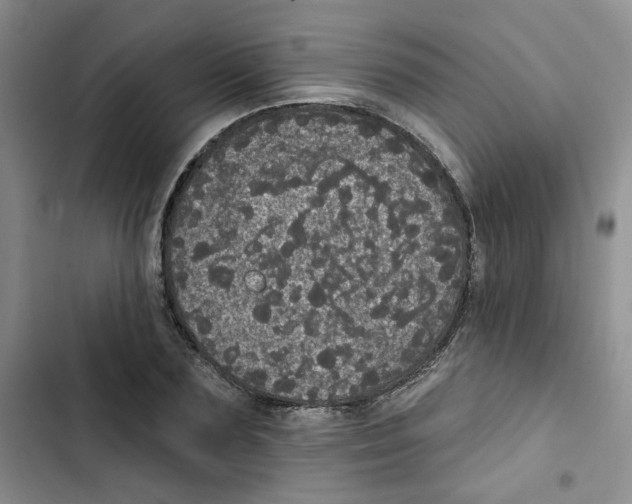 X0000102810883200809150949