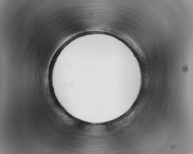 X0000102810884200809150949