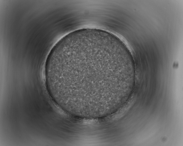 X0000102810887200809150949