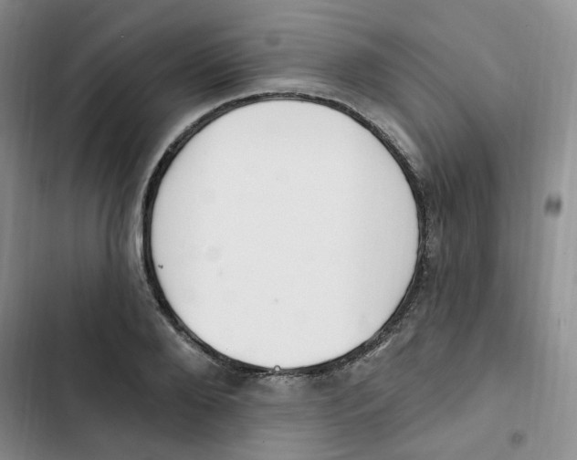 X0000102810888200809150949