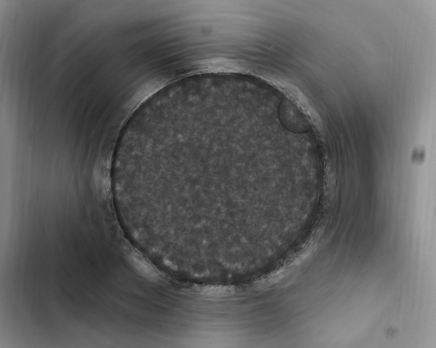 X0000102810889200809150949